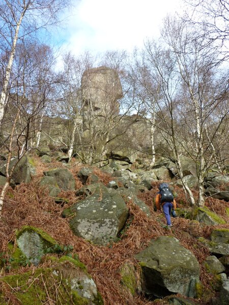 File:Boulders below Rivelin Needle - geograph.org.uk - 1709728.jpg