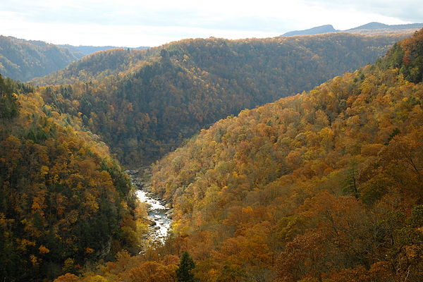 Breaks Interstate Park in Kentucky