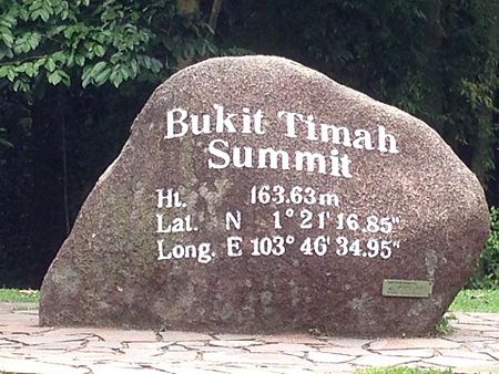 Bukit timah rock