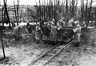 Photo en noir et blanc d'un groupe de femmes en travail forcé, en uniforme rayé