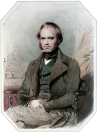 Портрет на три четвърти на Дарвин на възраст около 30 години, с права кафява коса, отстъпваща от високото му чело и дълги странични мустаци, усмихнат тихо, в широко яке с ревери, жилетка и висока яка с крава.
