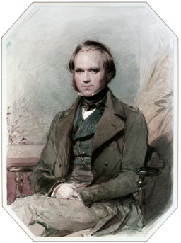  Charles Darwin by G. Richmond 