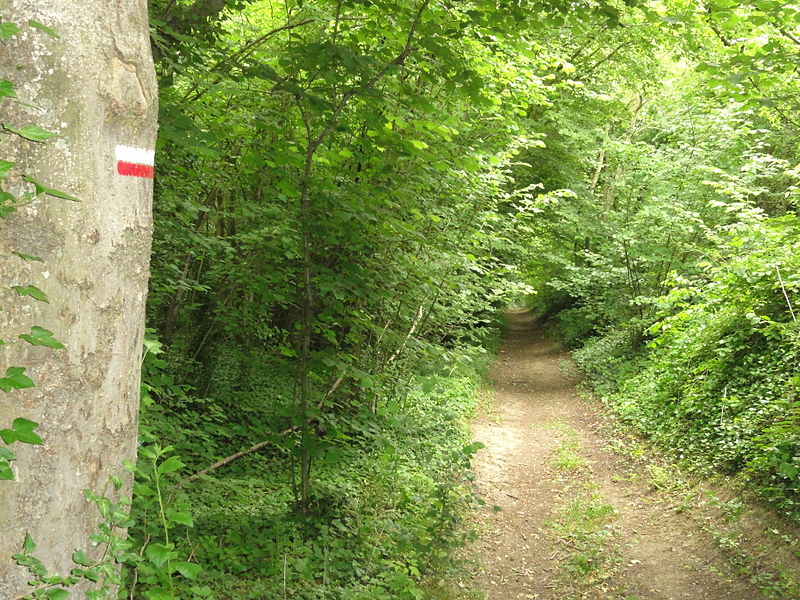 File:Chavigny (Aisne) le GR 12 passe à Chavigny.JPG