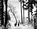Children looking across Green Lake from Woodland Park after snowfall, 1903 (SEATTLE 1653).jpg