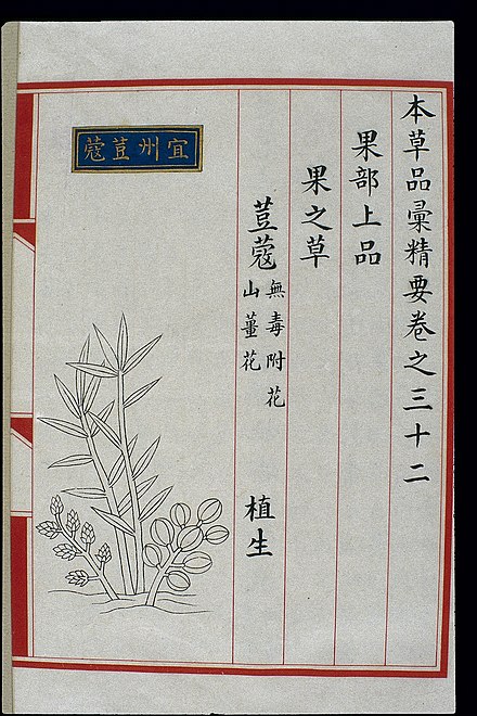 Chinese drawing and description of cardamom from the Bencao Pinhui Jingyao (1505), by imperial physician Liu Wentai