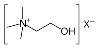 <span class="mw-page-title-main">Cholinergic</span> Agent which mimics choline