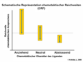 Schematische Repräsentation chemotaktischer Reichweiten (CRF)