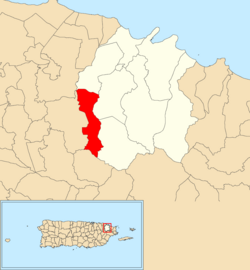 Location of Ciénaga Alta within the municipality of Río Grande shown in red