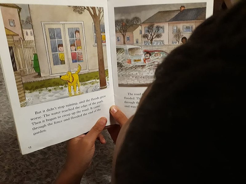 File:Close-up of child reading a book.jpg