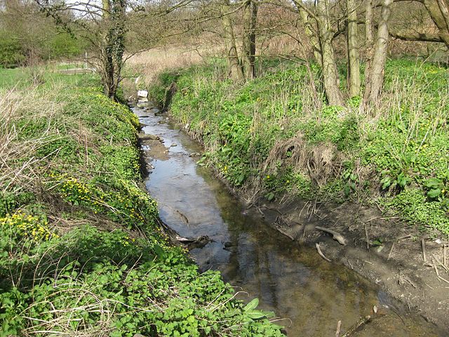 Cock Beck going north from Barwick Road