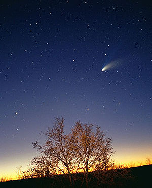 Hale-Bopp Comet above a tree