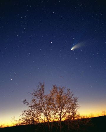 File:Comet-Hale-Bopp-29-03-1997.jpeg