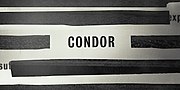 Miniatura para Condor (serie de televisión)
