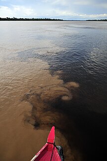 Rio Aripuanã at the confluence with the Rio Madeira