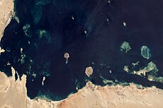Coral Reefs in the Persian Gulf.jpg