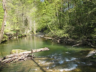 The Obere Argen in the Eistobel