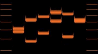 <span class="mw-page-title-main">Variable number tandem repeat</span>