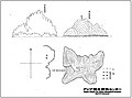 Immediately following the Battle of Tsushima the Japanese Warship Hashidate surveyed the islets again in June 1905. The result was this survey map showing Navy's plans for a watchtower, communications post and observation point on the east islet.