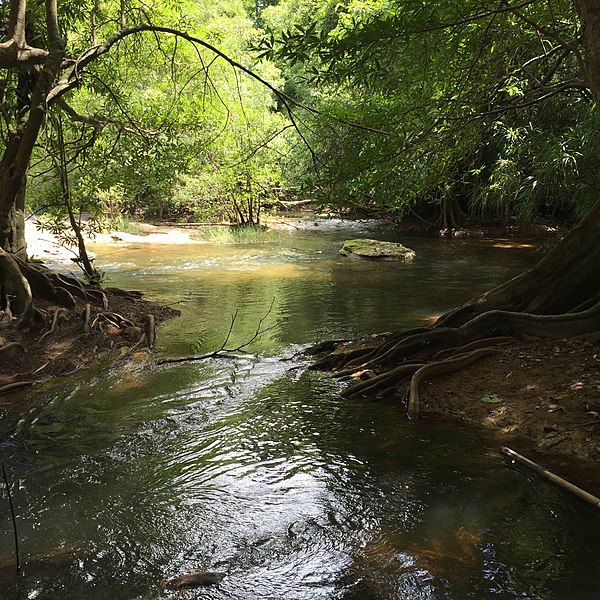 File:Dom Pradit, Nam Yuen District, Ubon Ratchathani, Thailand - panoramio (2).jpg