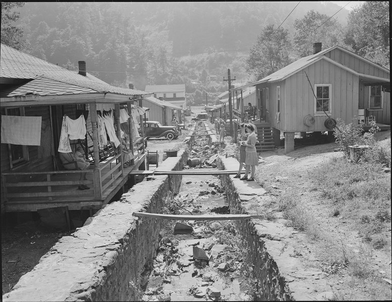 File:Double row houses, garbage and trash are disposed of in this meager stream of water, there is a well and pump at each... - NARA - 540988.tif