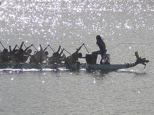 Una carrera de botes dragón en San Francisco, 2008