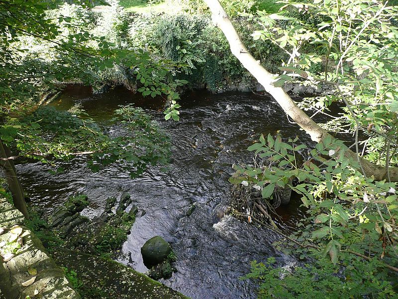 File:Edinburgh - Water of Leith - Waterflow (2961544093).jpg