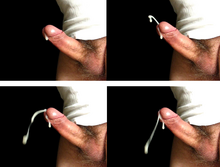 Quatro quadros, cada um mostrando o pênis ereto ejetando o sêmen, um fluido branco.