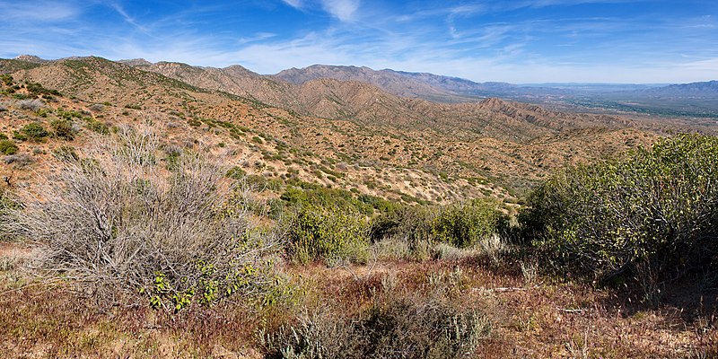 File:El Oso Road - Flickr - aspidoscelis.jpg