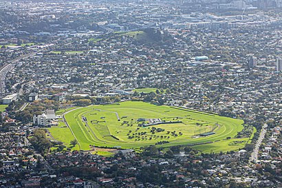 How to get to Ellerslie Racecourse with public transport- About the place