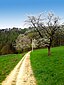 Elster-Radweg zwischen Berga und Wünschendorf