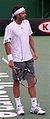Fernando Gonzalez 2007 Australian Open.jpg