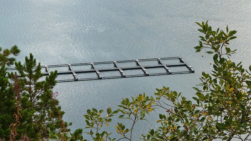 File:Fish farming in Storfjorden.JPG