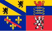 Banner of Arms