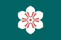 Prefettura di Saga – Bandiera