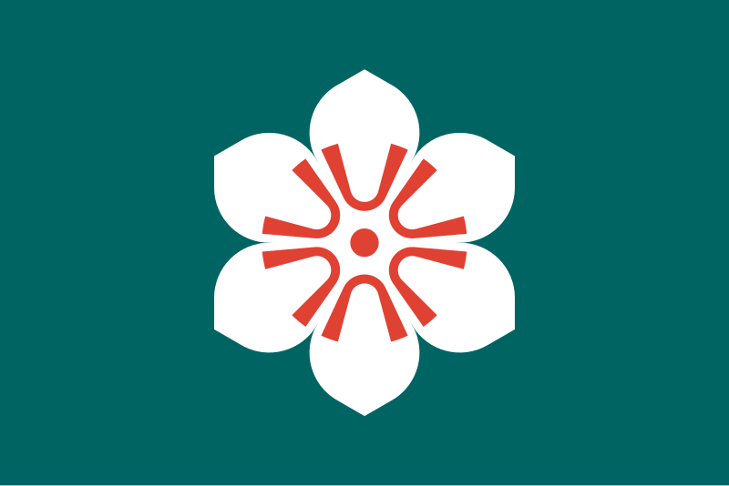 Файл:Flag of Saga Prefecture.svg