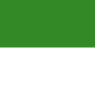 アンハルト＝ベルンブルクの国旗