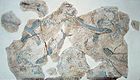 Կտորներ՝ «Թռչող ձուկերու» գծագրութենէն, Ք.Ա. ․ 2300-2000, Ֆիլաքոփի, Միլոս կղզի: