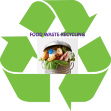Food waste recycling Food waste.png