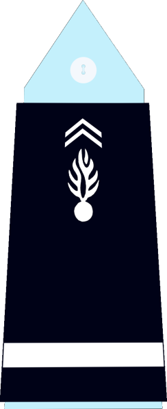 File:France (Gendarmerie) OF-1a.svg