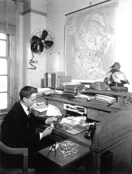 Frederick Charles Lincoln, at his desk.jpg