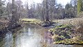 Deutsch: Geotop 175Q001 - Quellaustritte NW von Glonn, Landkreis Ebersberg, Bayern. Die junge Glonn in Mühltal. Im Hintergrund der Hang mit den Quellen.