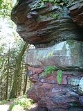 Vorschaubild für Rehberg-Schichten