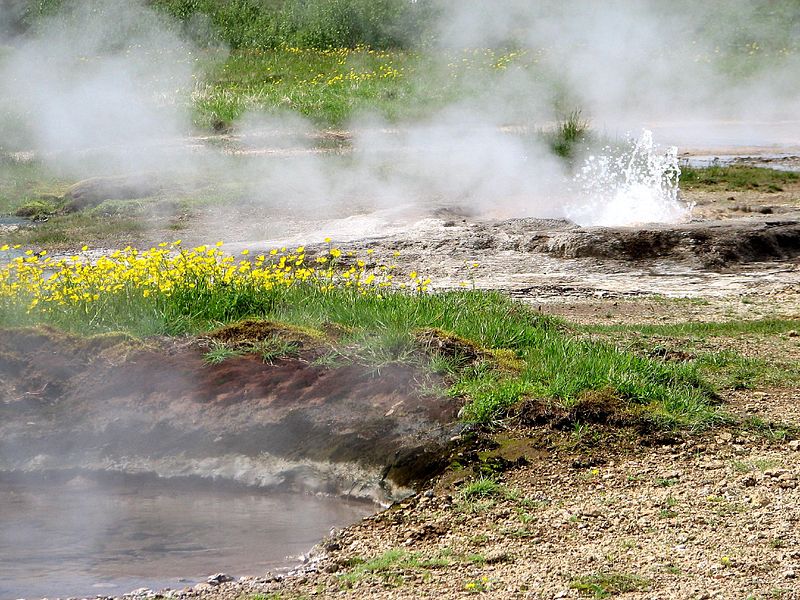 File:Geysir 03 (1417524942).jpg