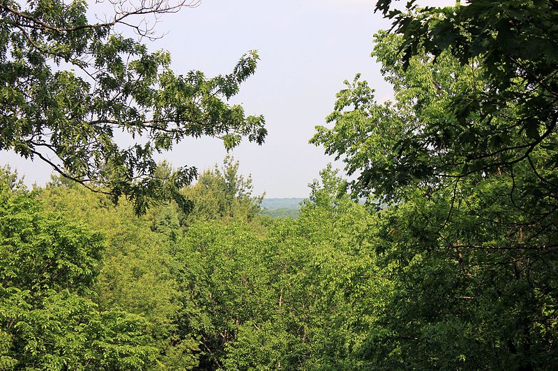 File:Gfp-wisconsin-lapham-peak-state-park-through-the-trees.jpg