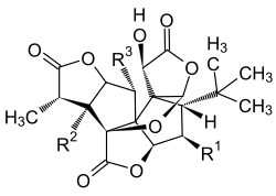 allg. Strukturformel von Ginkgoliden