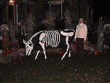 Gladys as a skeleton Gladys the Swiss Dairy Cow as a Skeleton.jpg