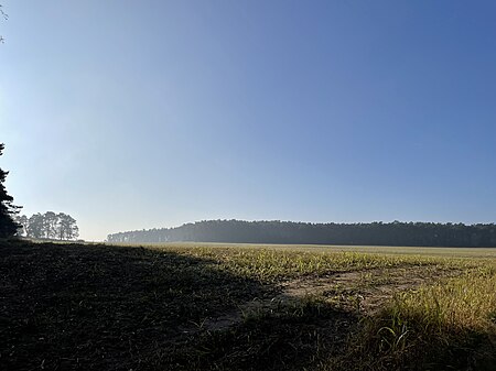 Golßen Schwarzer Berg 01