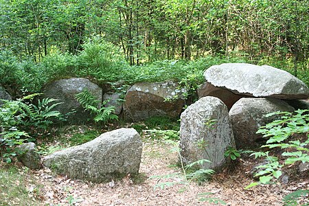 Großsteingrab Gnarrenburg 09