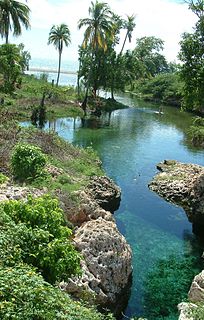 Gut River river in Jamaica