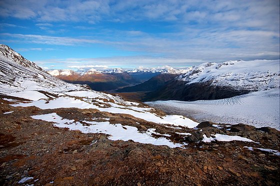 Почвы арктических пустынь в северной америке. Тундра в Антарктиде. Tundra Iklimi. Арктическая тундра. Арктика тундра.